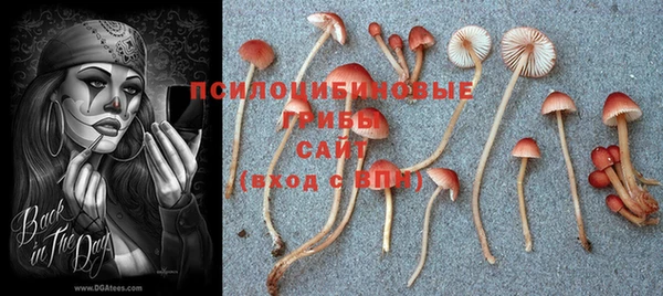 круглые Арсеньев