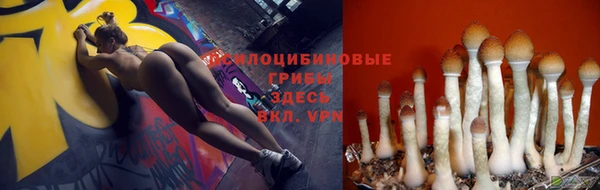 MDMA Аркадак