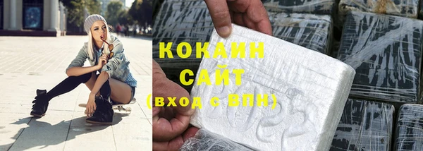 прущий лед Богданович
