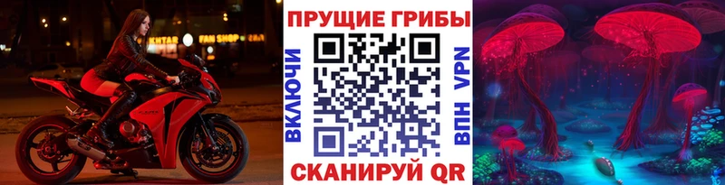 Псилоцибиновые грибы Psilocybine cubensis Тогучин